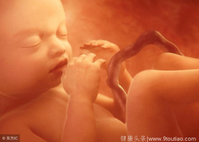 怀孕后，这2个时间段胎儿最脆弱最敏感，孕妈要保护好他