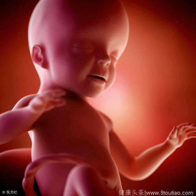 怀孕后，这2个时间段胎儿最脆弱最敏感，孕妈要保护好他