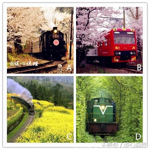 心理测试：四列火车选一个，测试下半年你会遇到哪方面的贵人？