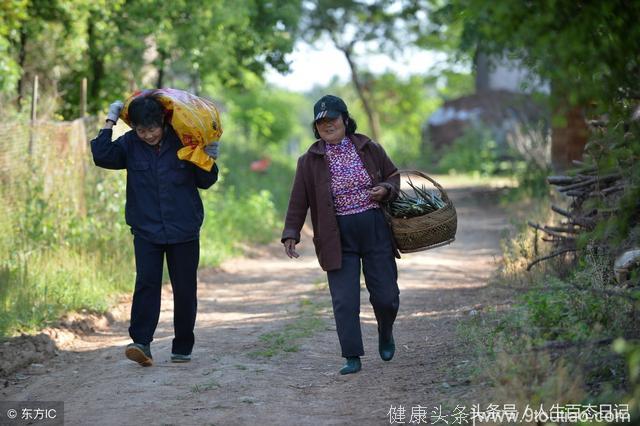 别人学心理学是给人治病，为何你却把自己学成一个神经质。