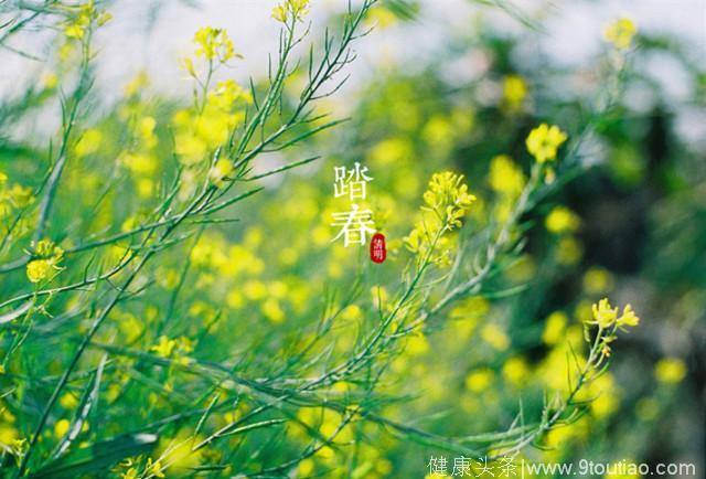 清明时节雨纷纷，糖尿病出行要注意哪些事情？