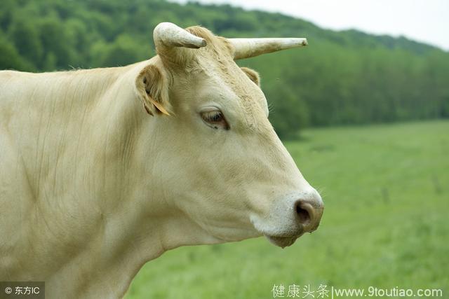 水逆期间，摩羯座的大小牛应注意情绪上的调节，尤其有抑郁症的人
