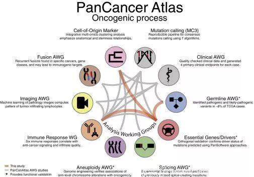 “巅峰之作”：美国重磅推出“泛癌症图谱”，服务全人类