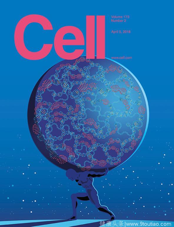 里程碑！27篇Cell系列论文同发，颠覆癌症分类方式