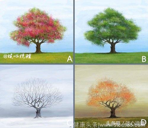 心理测试：四棵树选一个，测试你内心最在乎的人是谁？