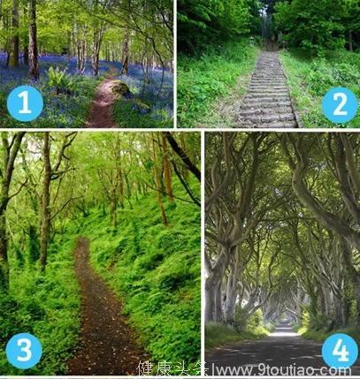 看图测试：4条森林小路测出你的真实性格