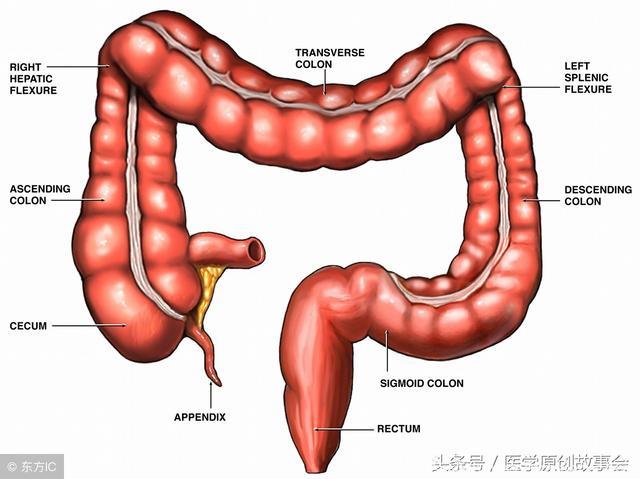 身体出现三种症状提示大肠癌，坚持吃三种食物，能离肠癌更远！