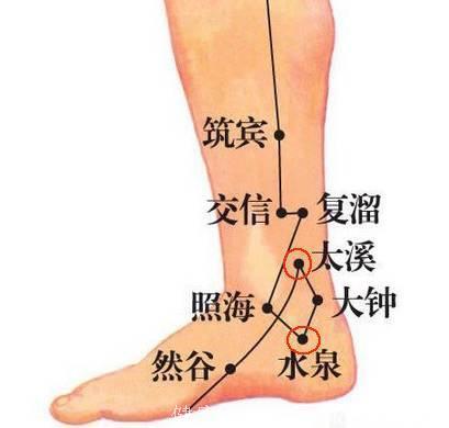 人体脚踝经脉图片