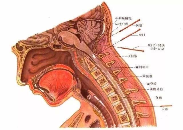 颈椎病睡不好,怎么睡才能睡得香?