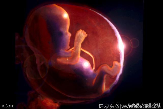 “怀孕”3个月的胎儿，在准妈妈的肚里是怎样的呢？