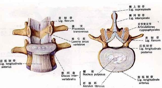 如何保护好颈椎