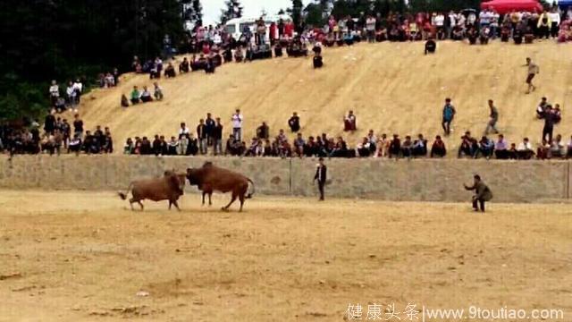 从犹太人的家庭教育观去思考苗族的教育缺失