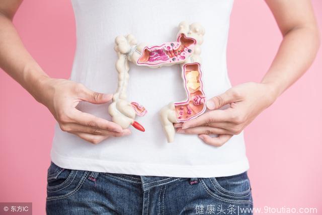 保护胃肠功能怎么吃？适当吃这4类食物，肠道健康看得见