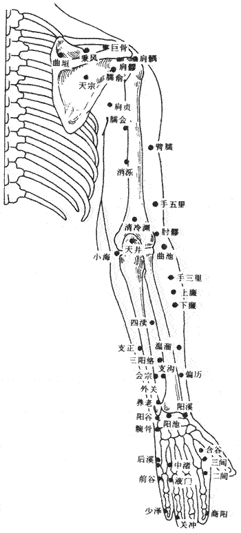 身体的各个穴位，齐了，收藏一下吧