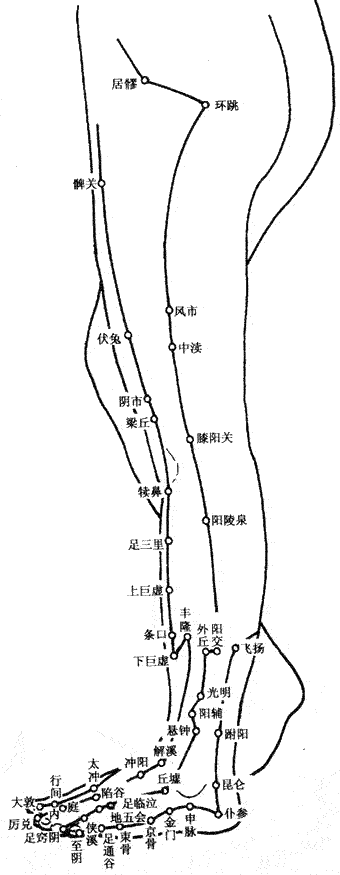 身体的各个穴位，齐了，收藏一下吧