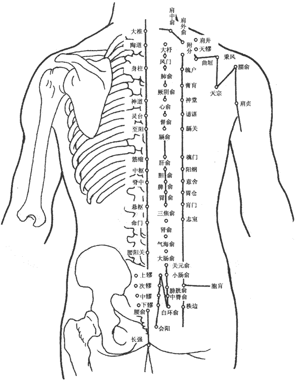 身体的各个穴位，齐了，收藏一下吧
