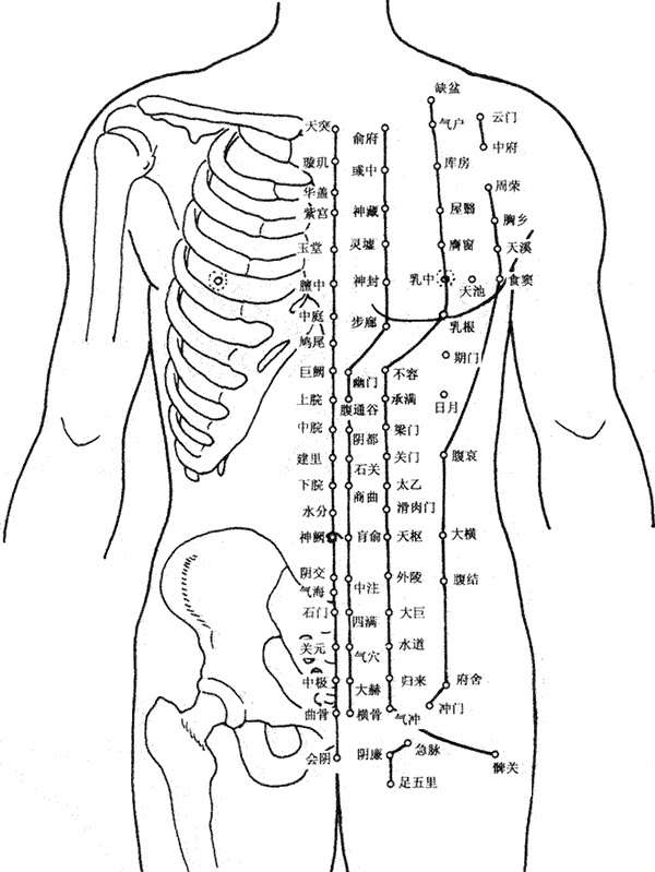 身体的各个穴位，齐了，收藏一下吧