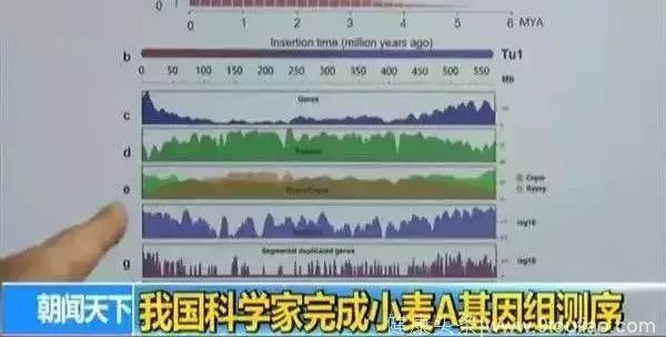 新发现！一种治骨质疏松的药物或有效的治疗脱发