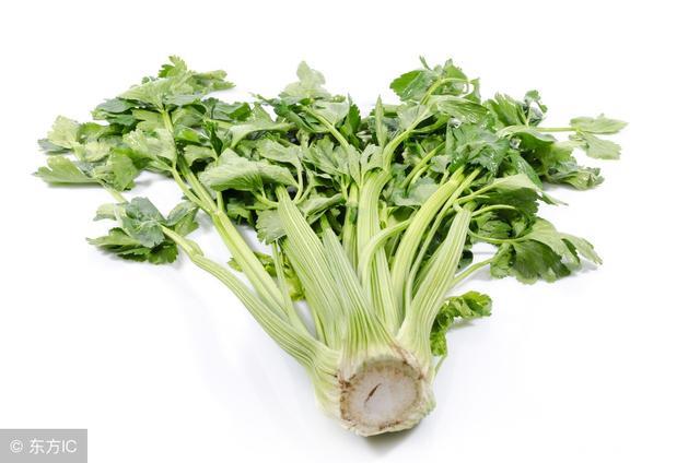 高血压患者的福利，试试这种蔬菜，可以降低血压！
