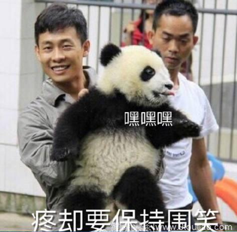 张译做慈善被熊猫咬了一口，去医院检查被确诊男性乳腺发育！