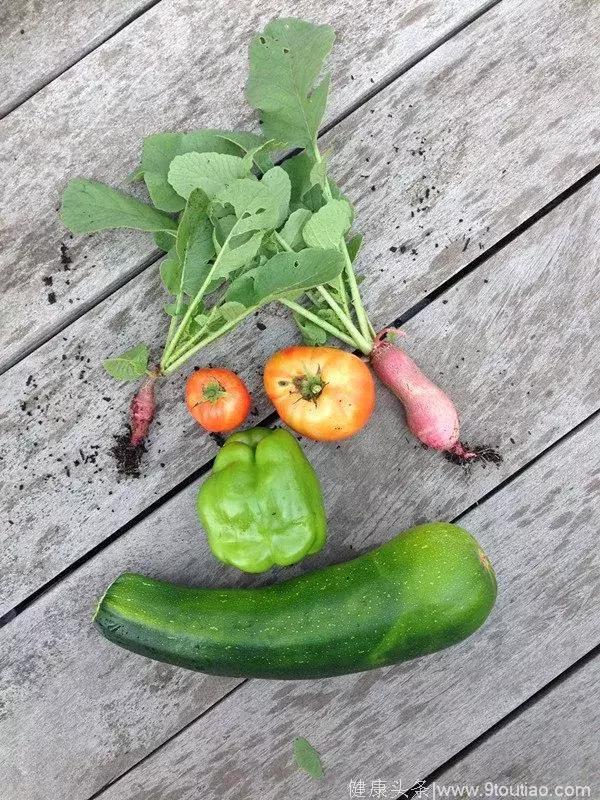 这绝对是这个季节，你最需要的高颜值减肥食谱！走过路过不要错过