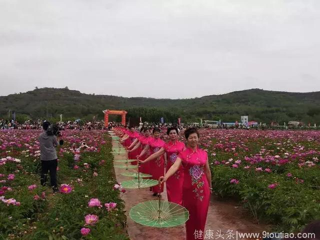 平凉华亭“美丽花乡养生砚峡”芍药观光采摘节开幕式颜值爆表