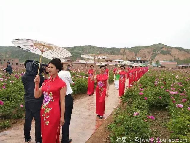 平凉华亭“美丽花乡养生砚峡”芍药观光采摘节开幕式颜值爆表