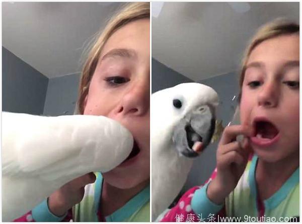 有创意！美小女孩让宠物鹦鹉帮其拔掉松动乳牙