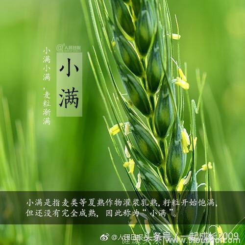 小满习俗知多少？祭车神，祈蚕节！雨打芭蕉，防暑养生！