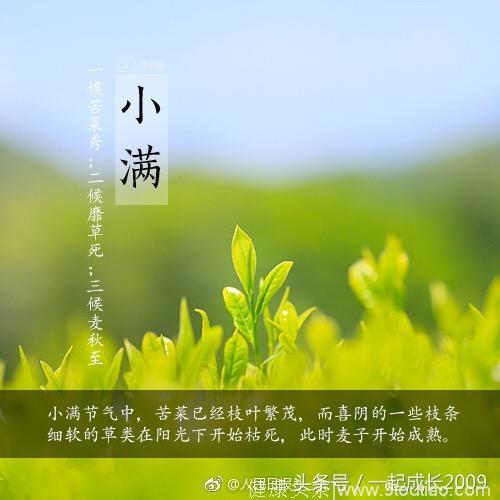 小满习俗知多少？祭车神，祈蚕节！雨打芭蕉，防暑养生！