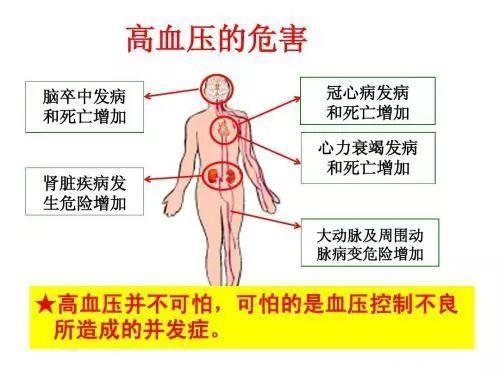 快收藏给爸妈！食疗降血压有妙方