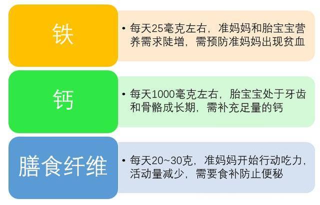 怀胎十月营养餐：孕6月胎宝宝学会游泳，开始听妈妈的话了！