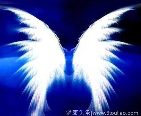 叶罗丽测试：假如你是天使，你想有哪双翅膀？测你有多吸引异性！