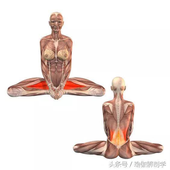 有效缓解经期疼痛的瑜伽束角式，你做对了吗？