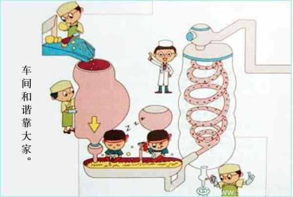 儿童腹泻与乳糖酶