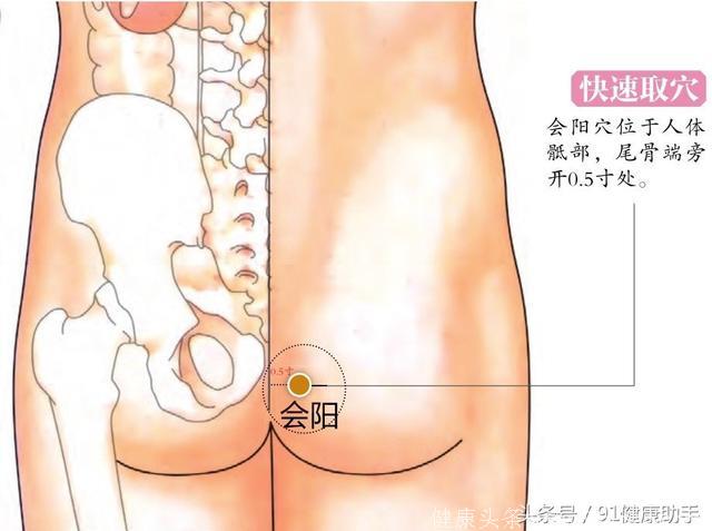 穴位养生｜泄泻便血、痔疮、阳痿按会阳穴，散发水湿补阳益气