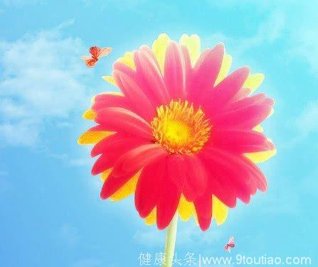 心理测试：4朵太阳花，你最喜欢哪朵？测你接下来会有什么好运！