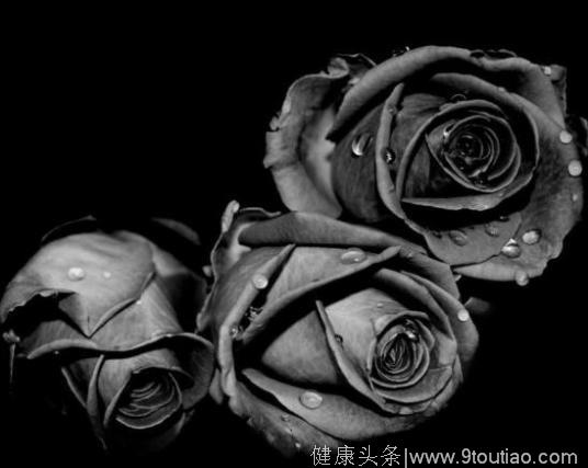 心理测试：4种玫瑰花，你希望收到哪种？测测你未来的男友类型！