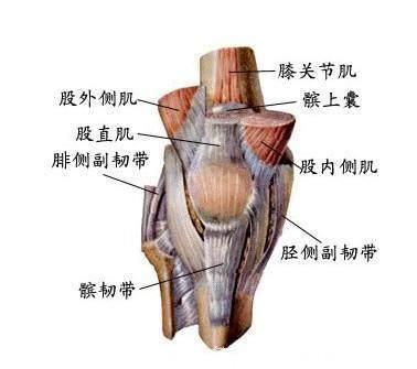 人老先老腿，解读膝关节关节炎！一套老方法，受益几代人！