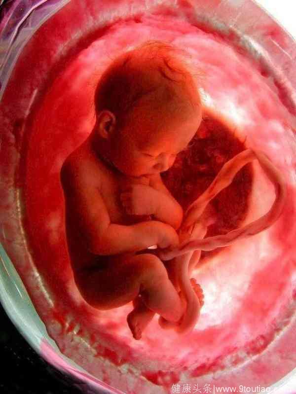 决定胎儿大小的几个秘密，孕妈你知道吗？