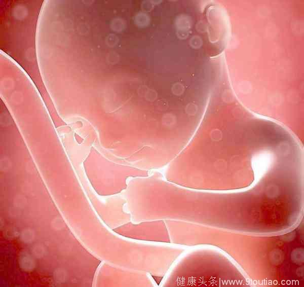 决定胎儿大小的几个秘密，孕妈你知道吗？