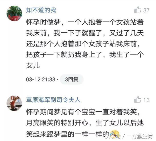 准妈妈孕期梦到一对小象出生后是双胞胎，孕妈你做到过那些胎梦呢