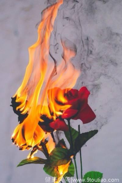 心理测试：4朵烈焰玫瑰，哪朵最凄美？测你今生会有几次情劫