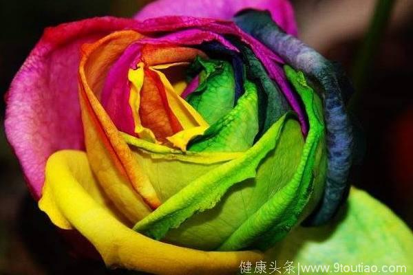 心理测试：4朵彩虹玫瑰，哪朵代表真爱？测你的宿命恋人何时出现