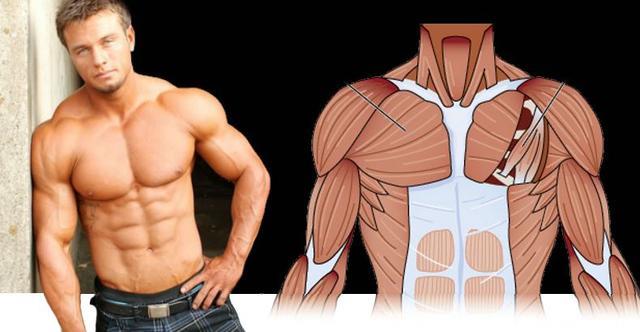 你的胸肌值多少分？这些方法就是扁平胸肌的救星