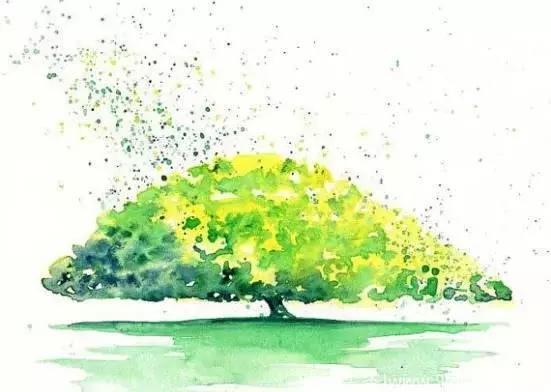 心理测试：选1棵树避雨，测你是到底是享福命还是发财命！