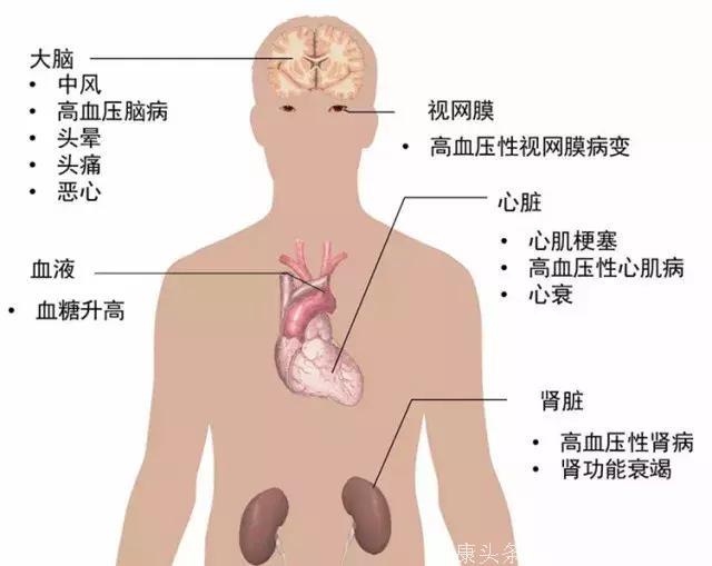 中西医结合综合病房｜高血压的中医辨证论治