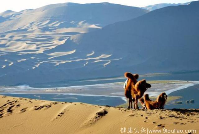 心理测试：假如有4片沙漠，哪片最容易迷路？测你6月上旬的运势