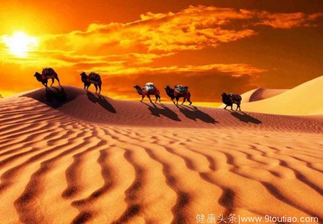 心理测试：假如有4片沙漠，哪片最容易迷路？测你6月上旬的运势