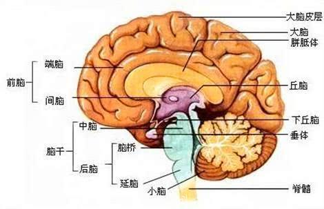 医生表示：睡前5个小诀窍，这样睡5分钟等于睡6个小时